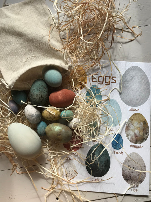 Handpainted wooden bird eggs